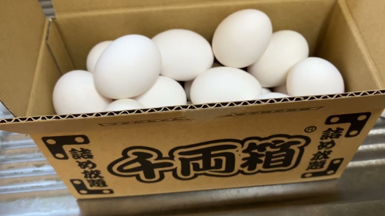 卵詰め放題