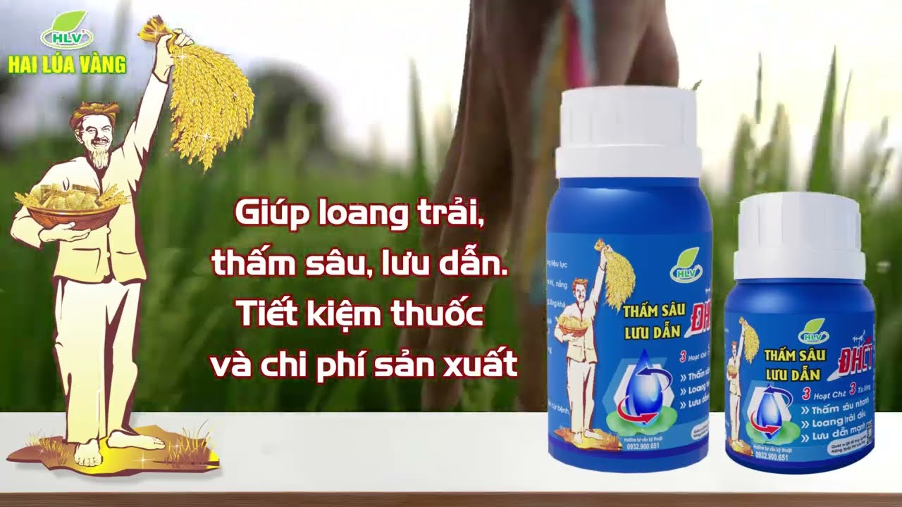 Giới thiệu sản phẩm chủ lực C&ocirc;ng ty | Hai L&uacute;a V&agrave;ng