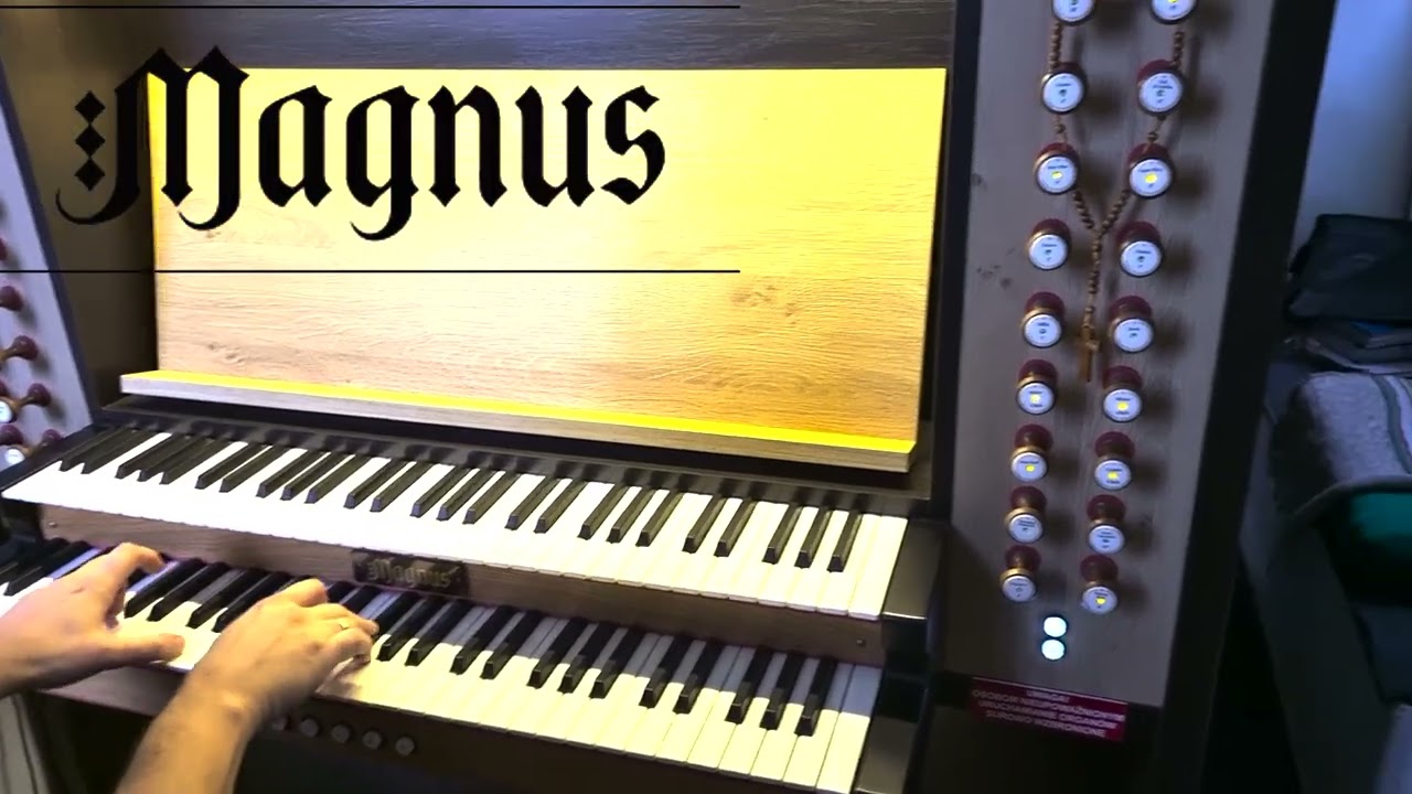 Magnus Organ in Sawin (Poland)