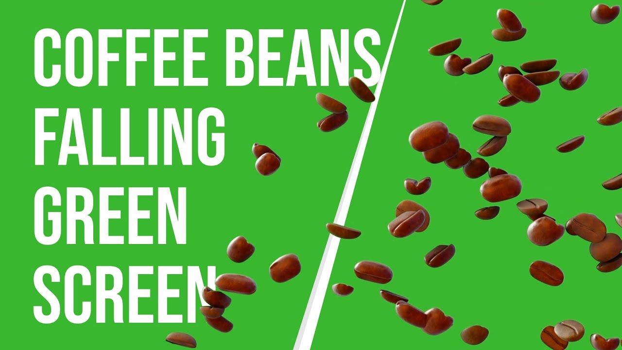 Coffee Beans Falling : Green Screen Coffee Beans Falling Down Effect | HD | FREE DOWNLOAD