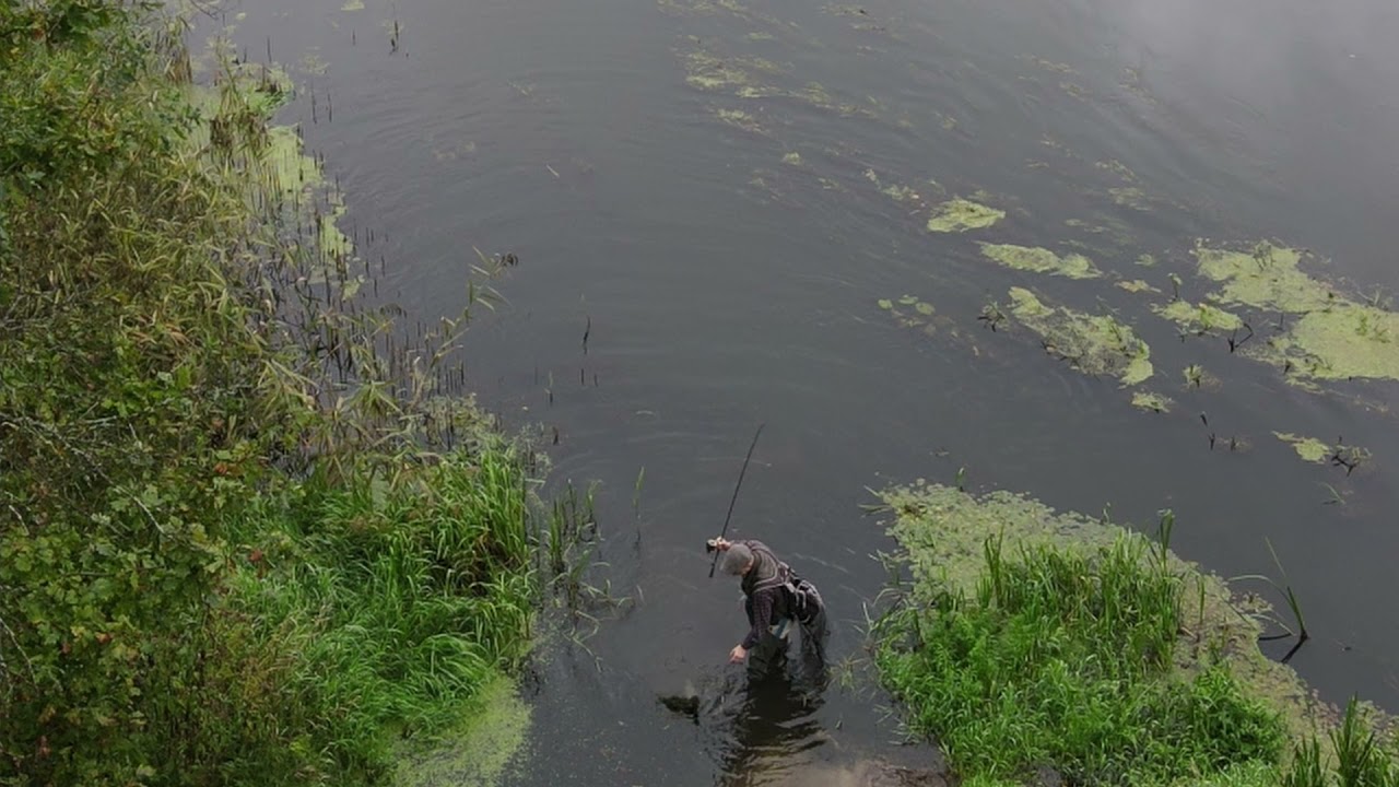 Nowa Koncepcja, Asp fishing, asp lure, aspius, przynęta boleniowa, boleń