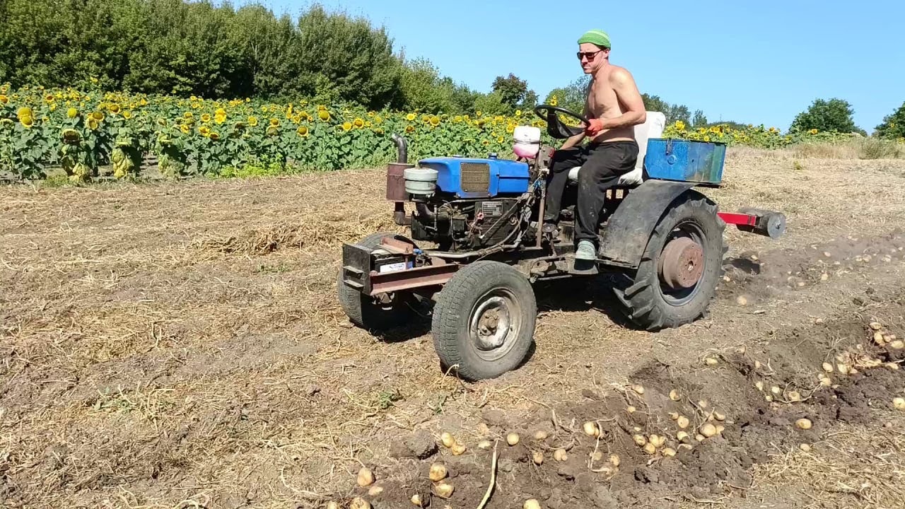 Копаем картошку самодельным трактором!