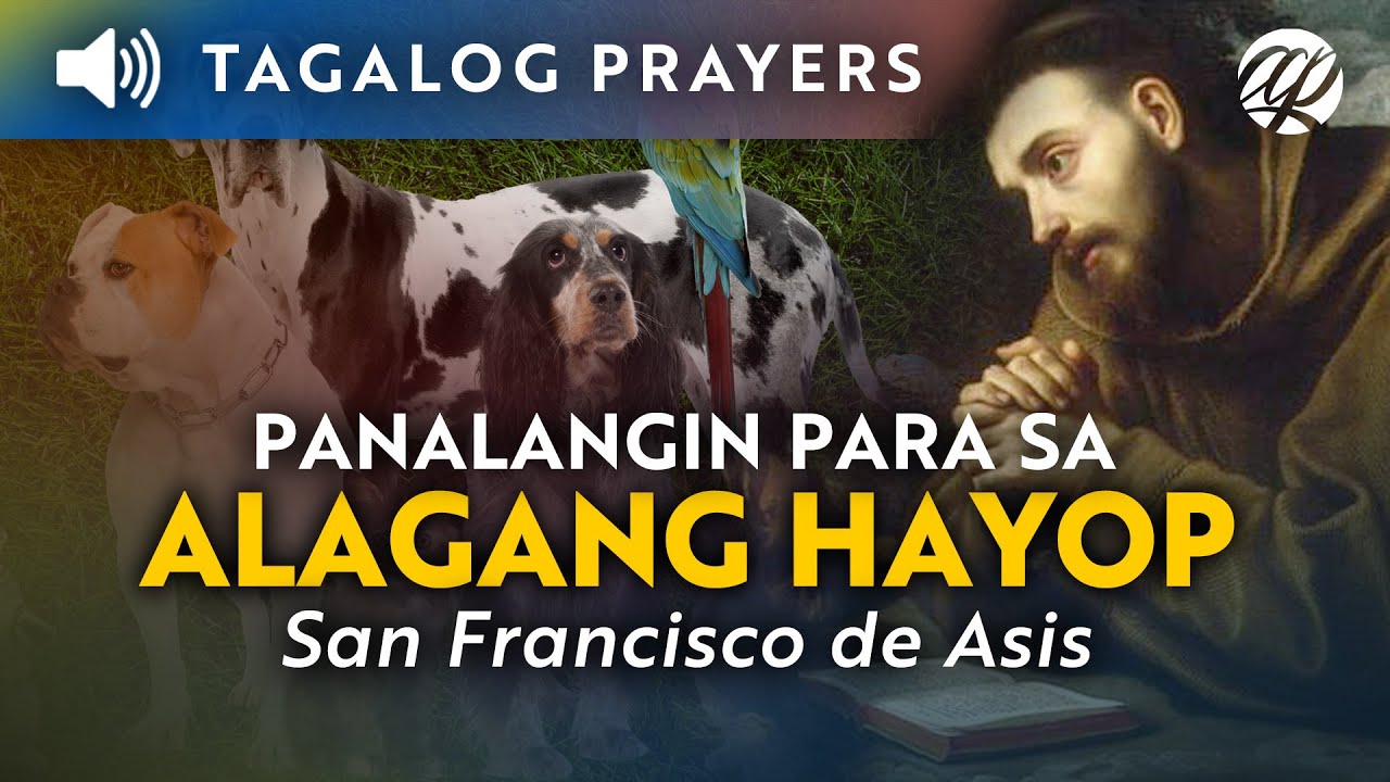 Tagalog Pet Blessing Prayer • St. Francis of Assisi • Panalangin at Pagbabasbas sa Alagang Hayop
