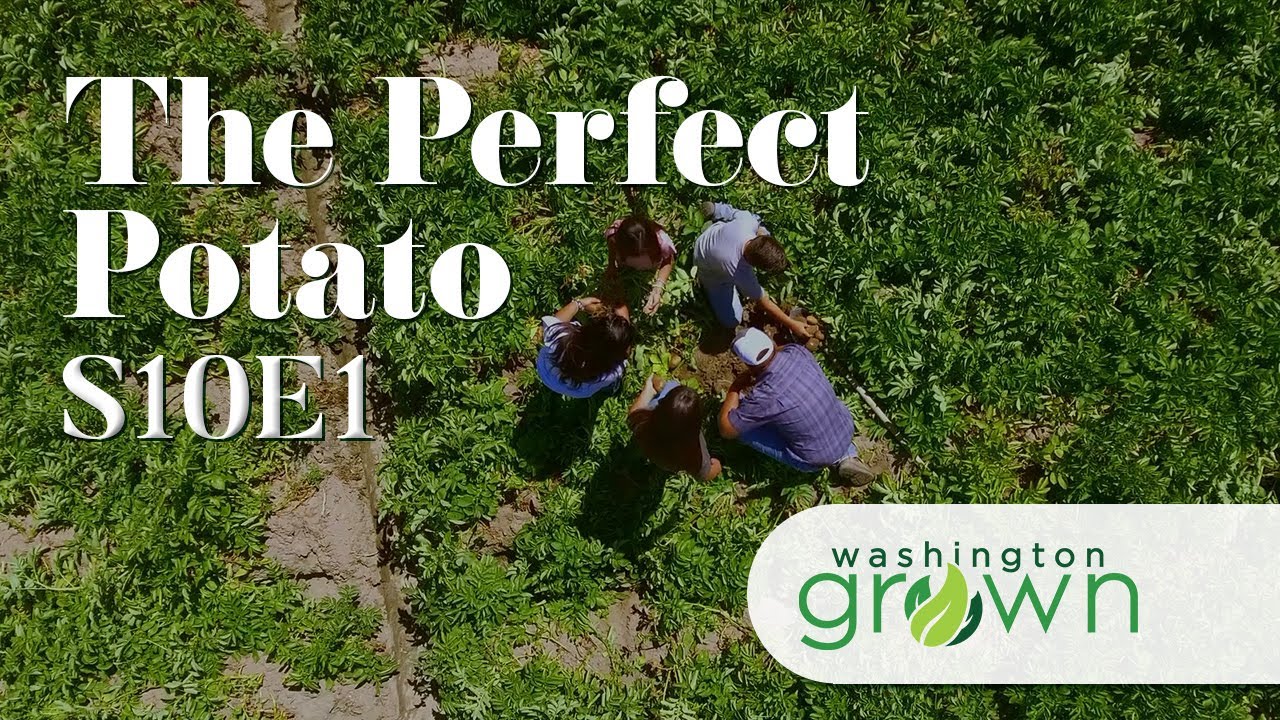 Growing the Perfect Potato | Washington Grown | S10E1