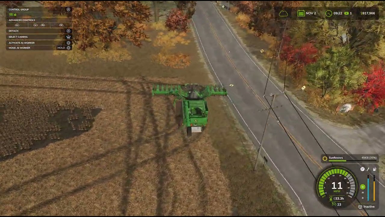 Sunflower harvest