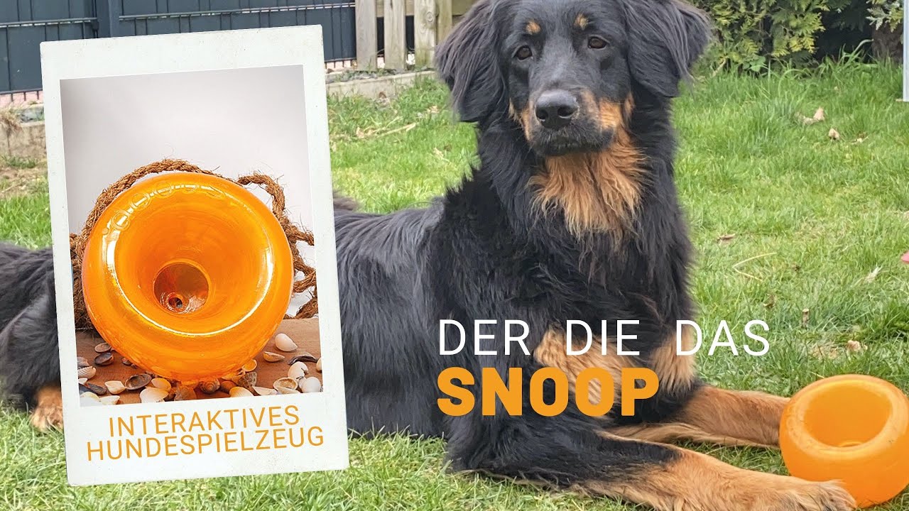 Der Snoop - interaktives Hundespielzeug BPA frei