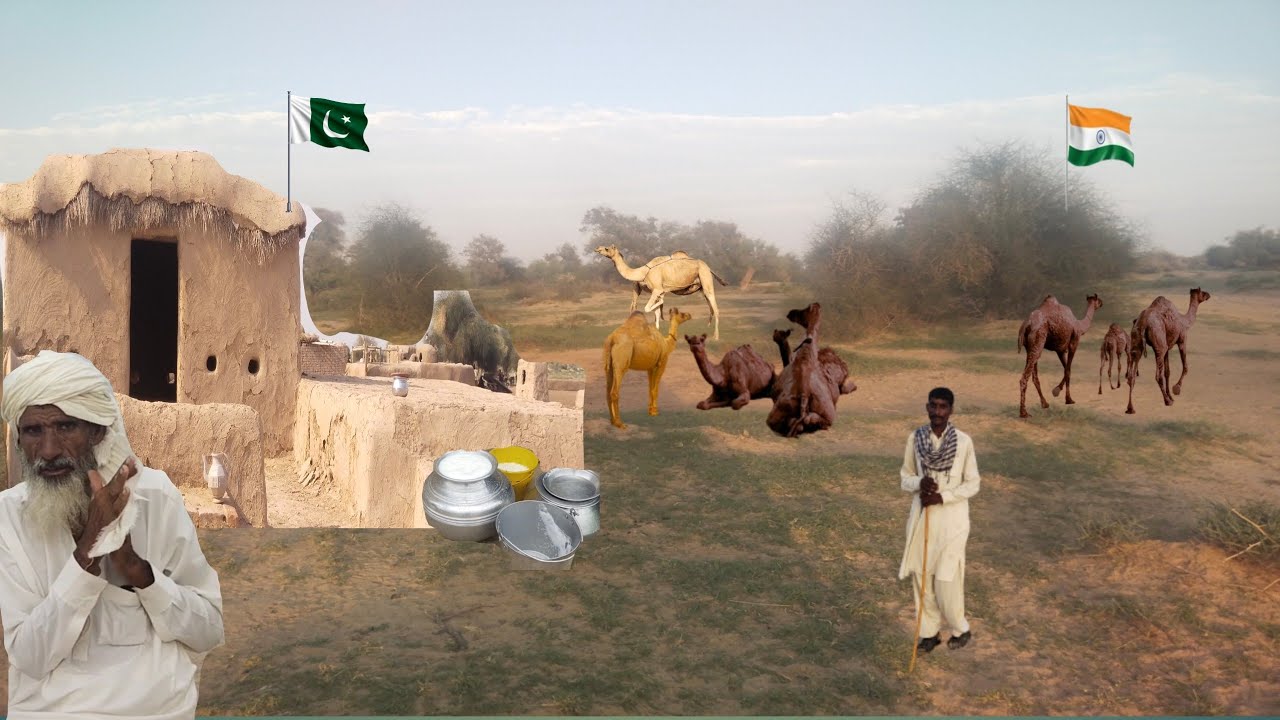 Cholistan Village Inside Desert life in pakistan Rohi