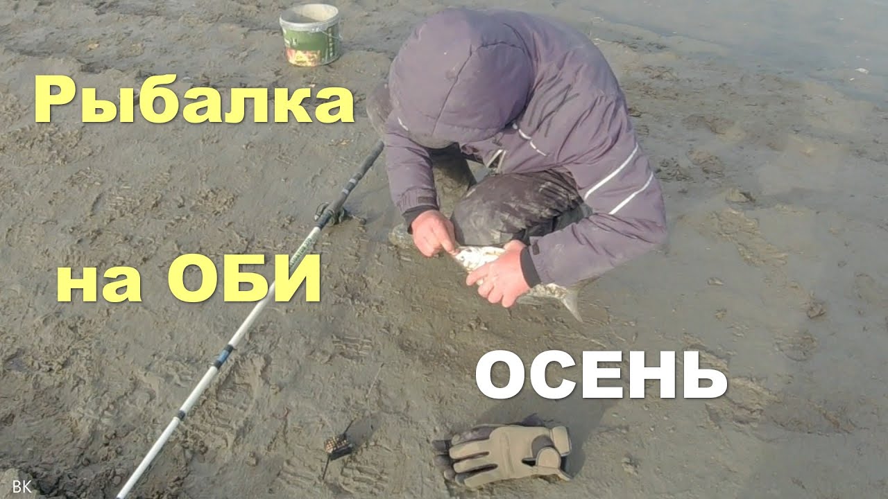 Рыбалка на Оби сентябрь 2022