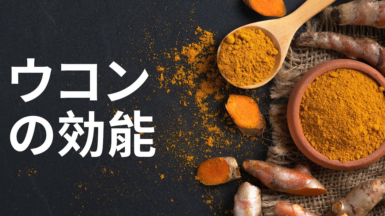 ウコンの効能 | 利点 Benefits - Japanese