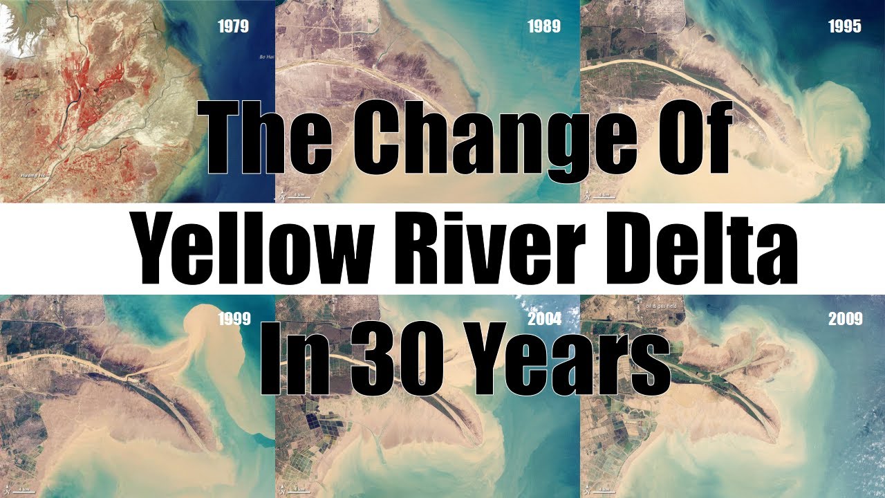 Dongying: The Change Of Yellow River Delta
