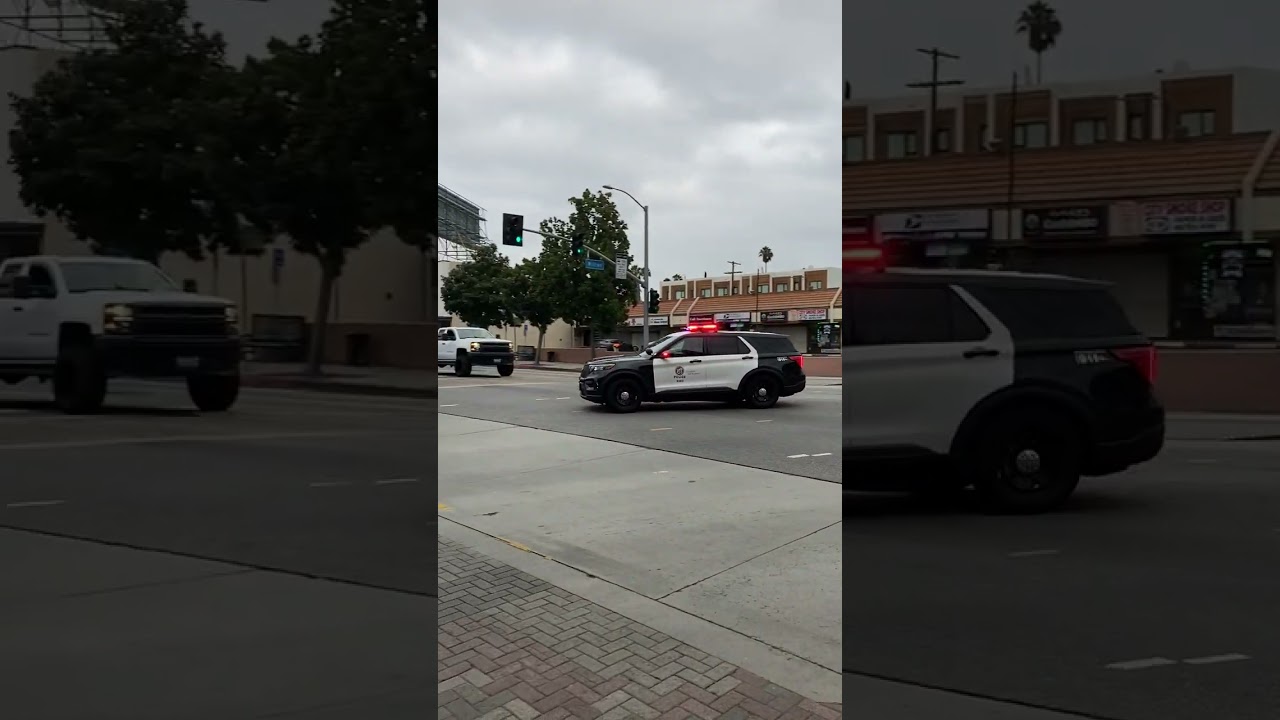 LAPD Police Sound Car Siren