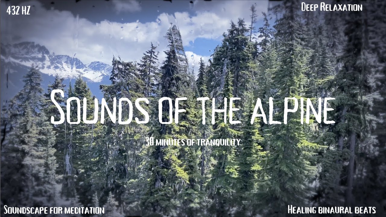 Pine Sap | Sounds of the Alpine | 432 Hz Music for Relaxation, Meditation, Healing, Binaural work