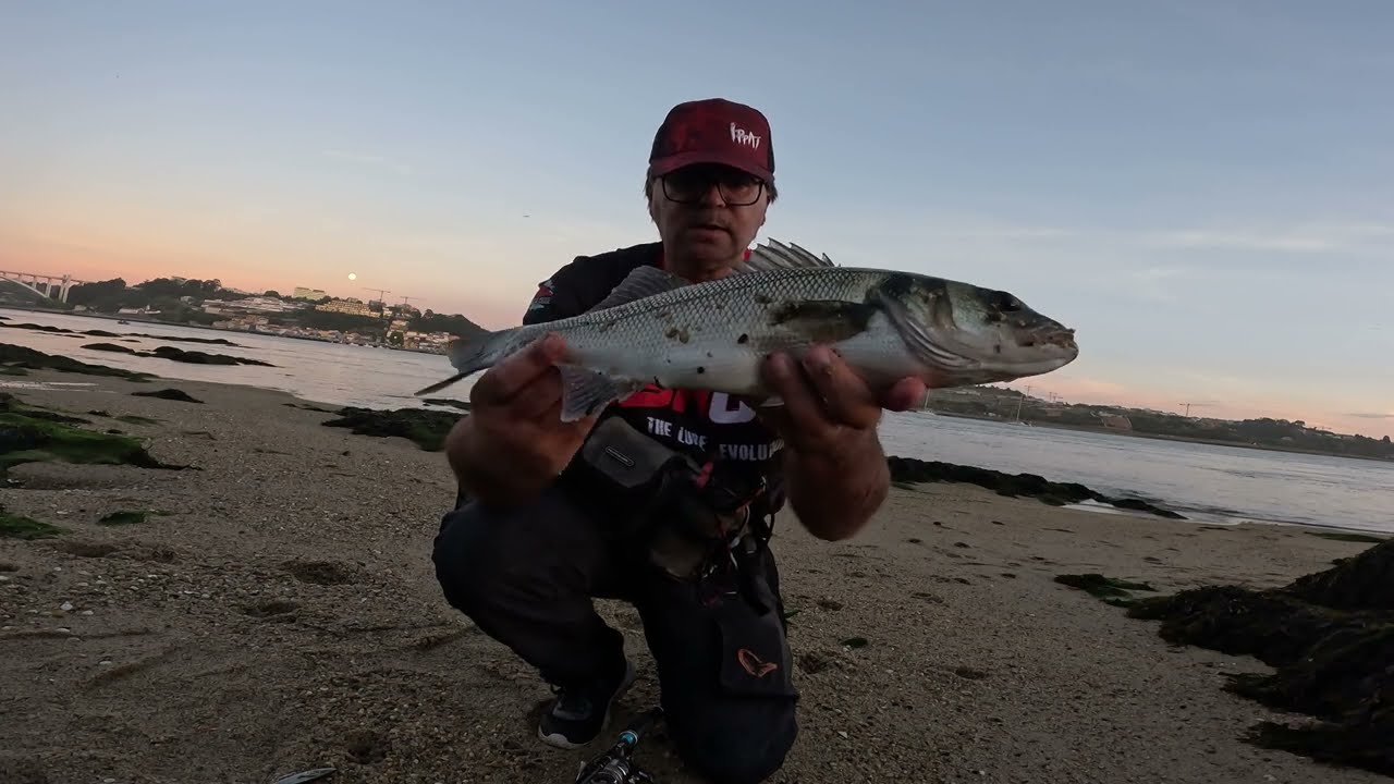 Fishus Espetit na pesca dos Robalos
