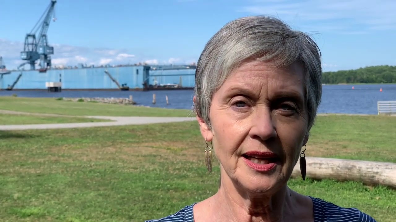 Lisa for Maine: You Are Not Alone - Conversion to tackle climate