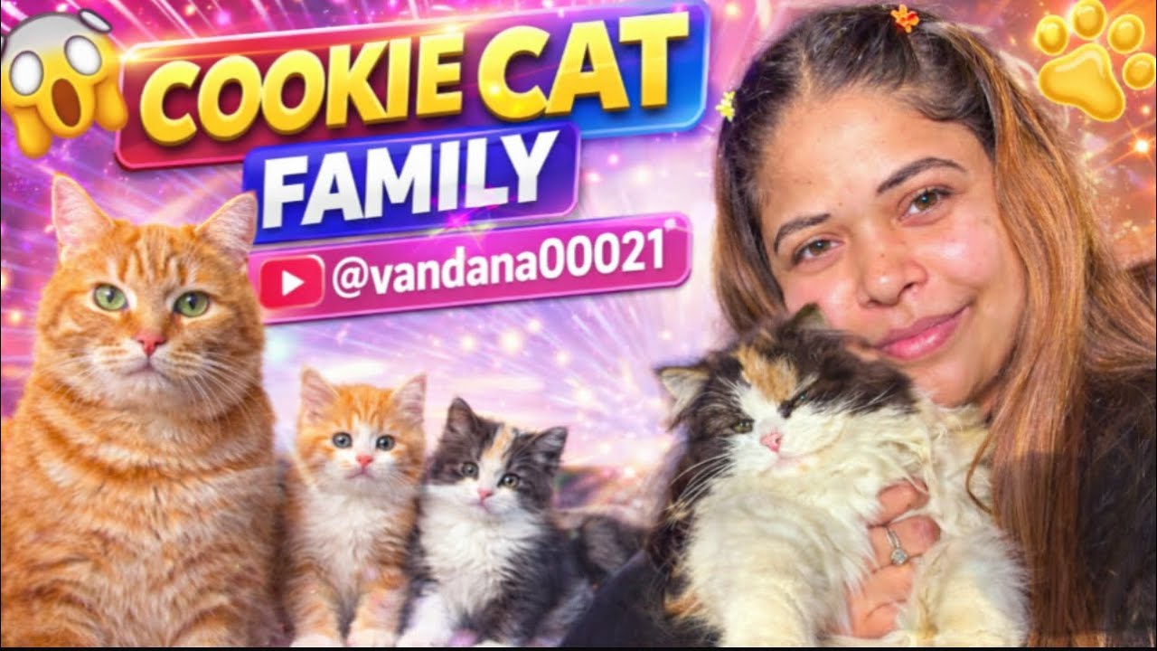 Day 19/365 || I live with 17 cats || Dj ki tez volume se hui anxiety 😟 || 