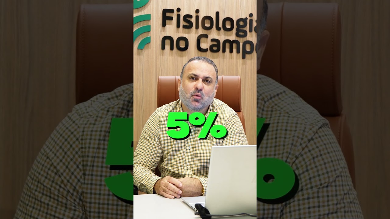 Quais são os números básicos de definição de produção da soja?