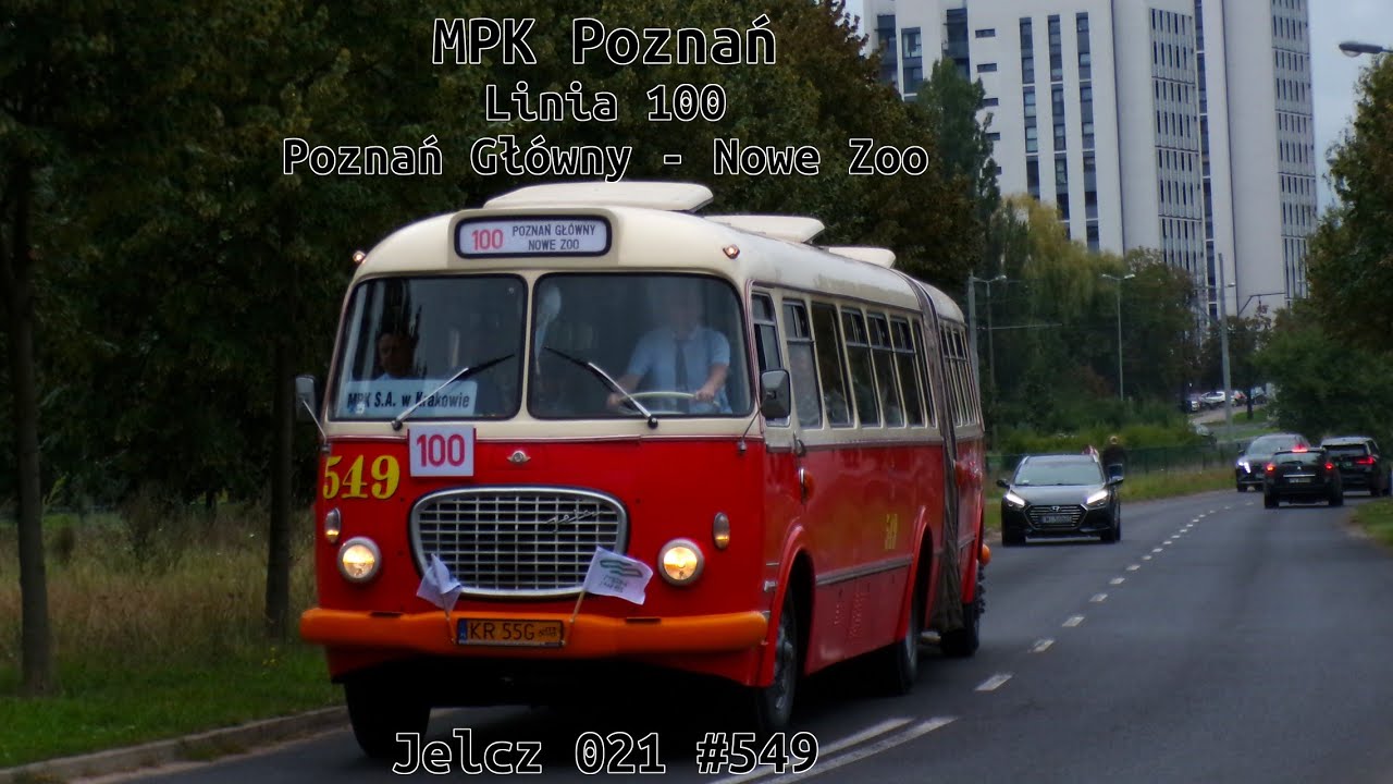 MPK Poznań - Jelcz 021 #549 - Linia 100
