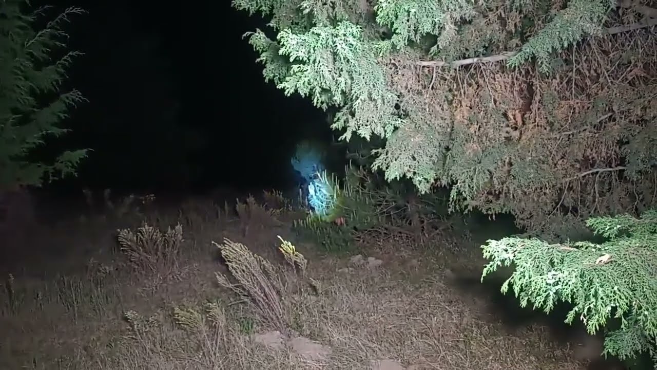 Terror Al Extremo est&aacute; en vivo