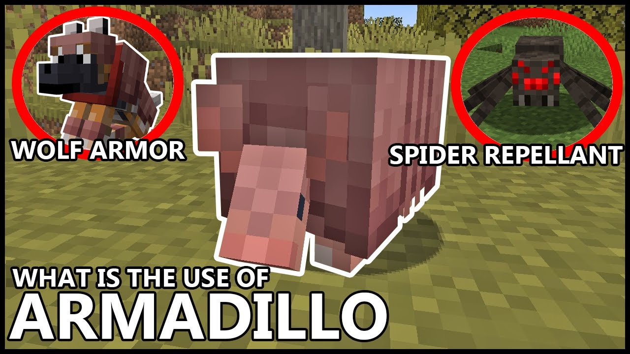 What Is The Use Of ARMADILLOS In MINECRAFT
