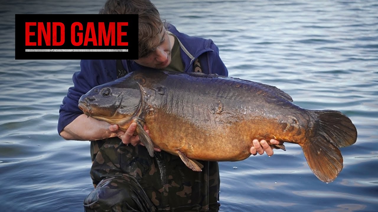 Lad and Dad duo catch some of the North West’s best carp! preview