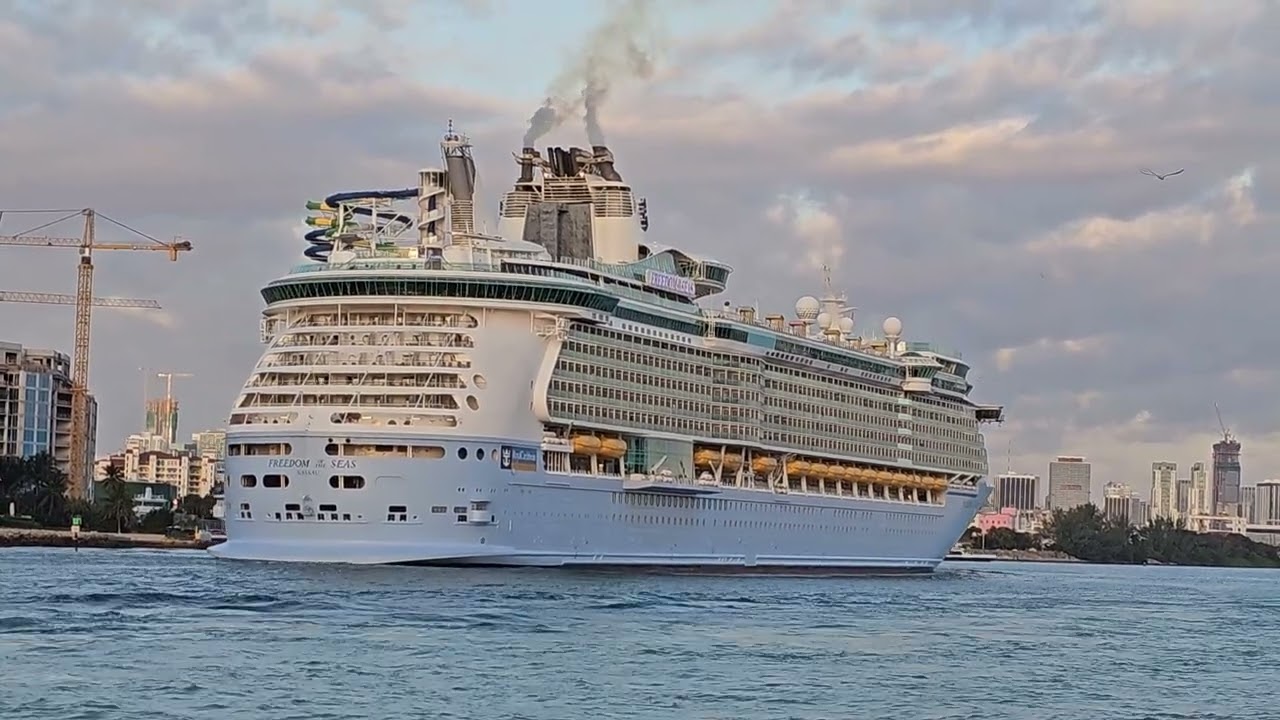 Freedom of the seas #nicemusic #cruiseship #umarkeyn 