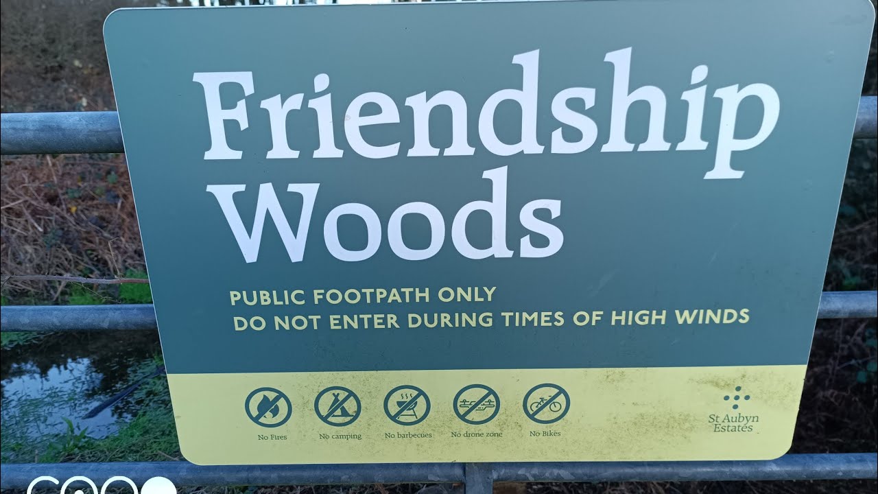DEVASTATION at FRIENDSHIP WOOD 