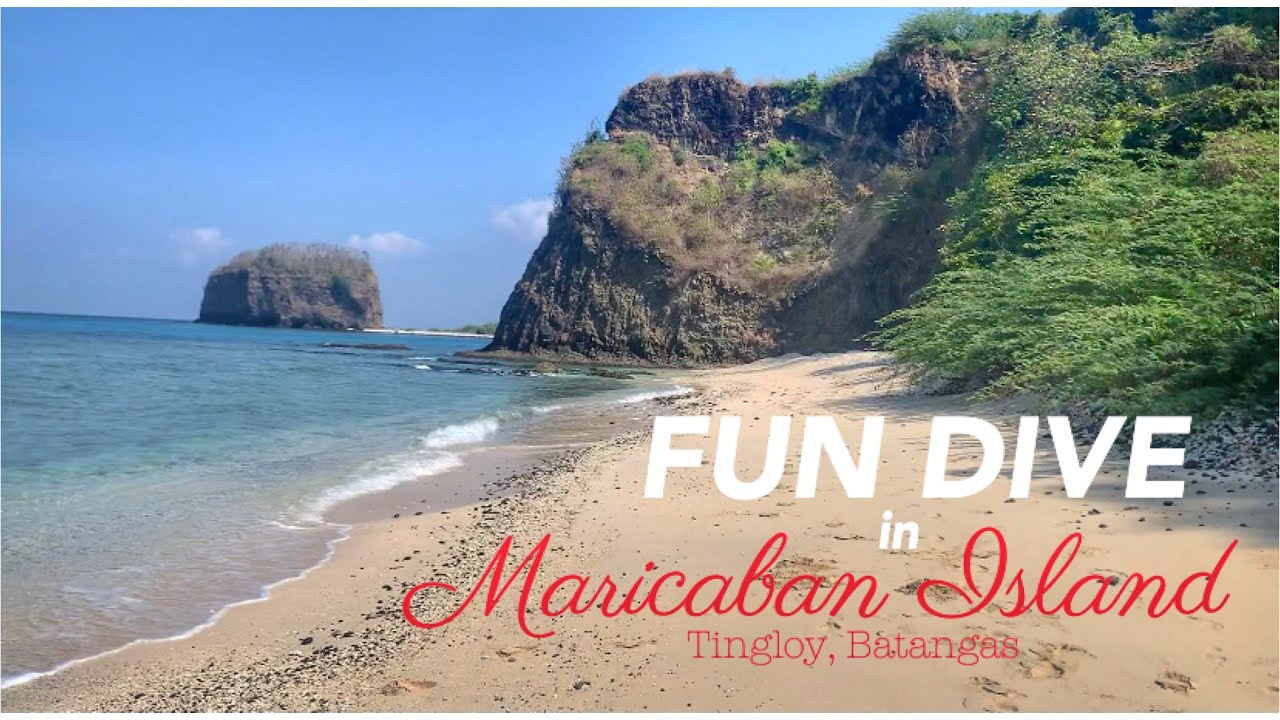 Free diving at Maricaban island | Fun dive | Diver's crib squad