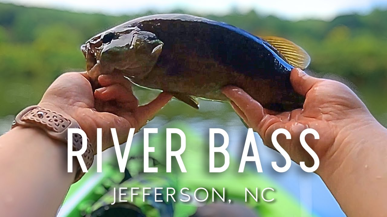 New River Fishing in August for Smallmouth and Redeye Bass | NC River Bass Fishing in Jefferson