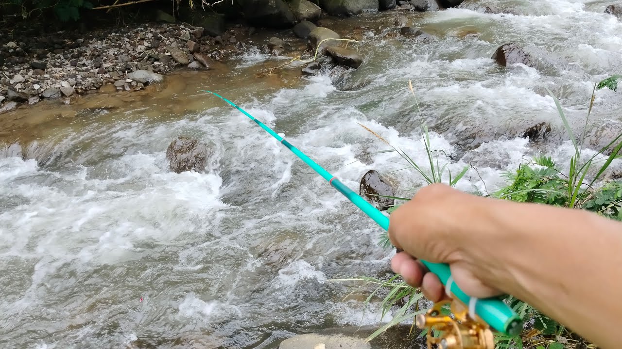 nginthil mancing sedang live sekarang!Spot sungai Bebatuan target ikan uceng dan wader
