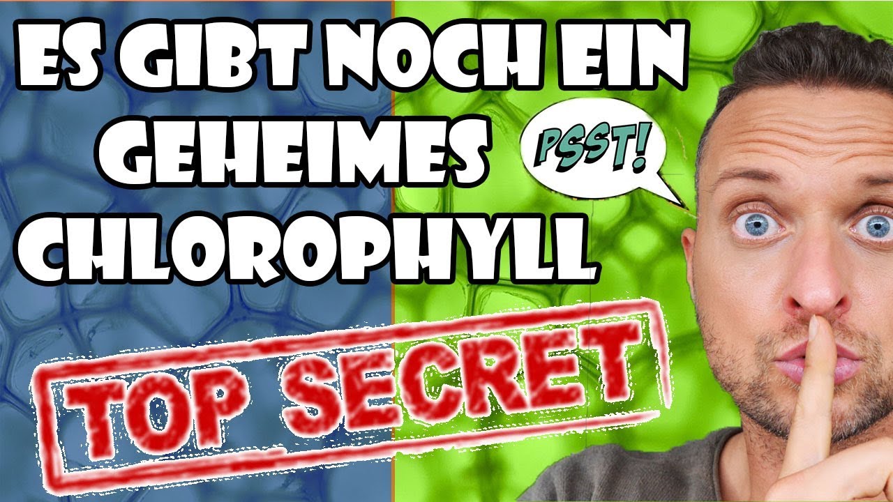 Was dir niemand sagt:Es gibt noch ein geheimes Chlorophyll
