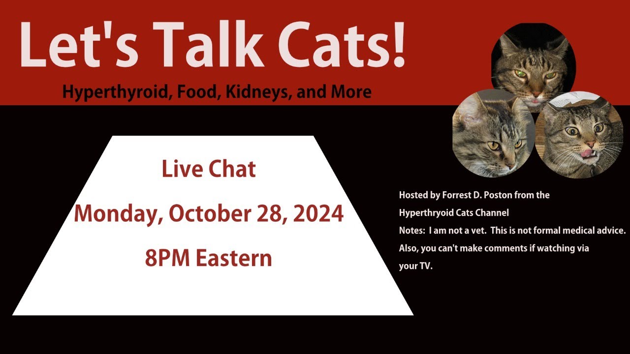 Let's Talk Cats: Hyperthyroidism, Food, Kidneys, and More