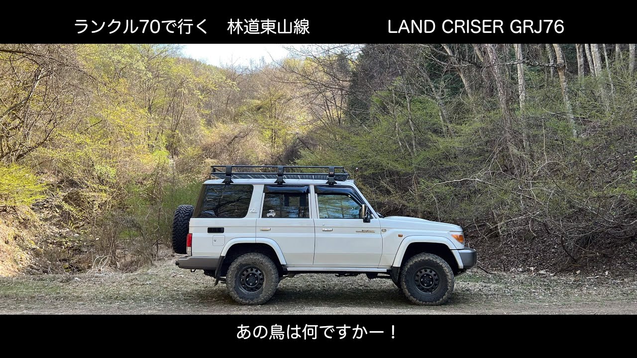 ランクル70で行く林道東山線　LAND CRUISER GRJ76　　あの野鳥は何でしょうか？誰か教えて！
