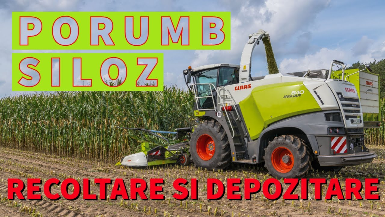 014 - Porumbul siloz - Recoltare si depozitare