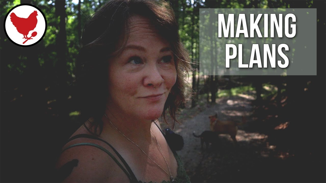 Making Plans & Scaredy Dogs