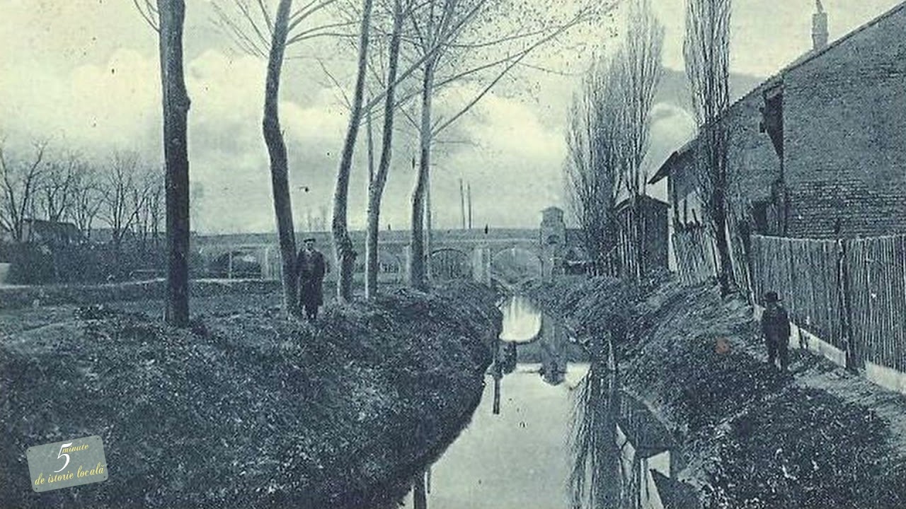 5 minute de istorie locală -  Canalul Aranca din Sânnicolau Mare