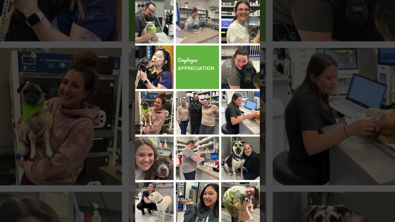 VEHC - Employee Appreciation Day