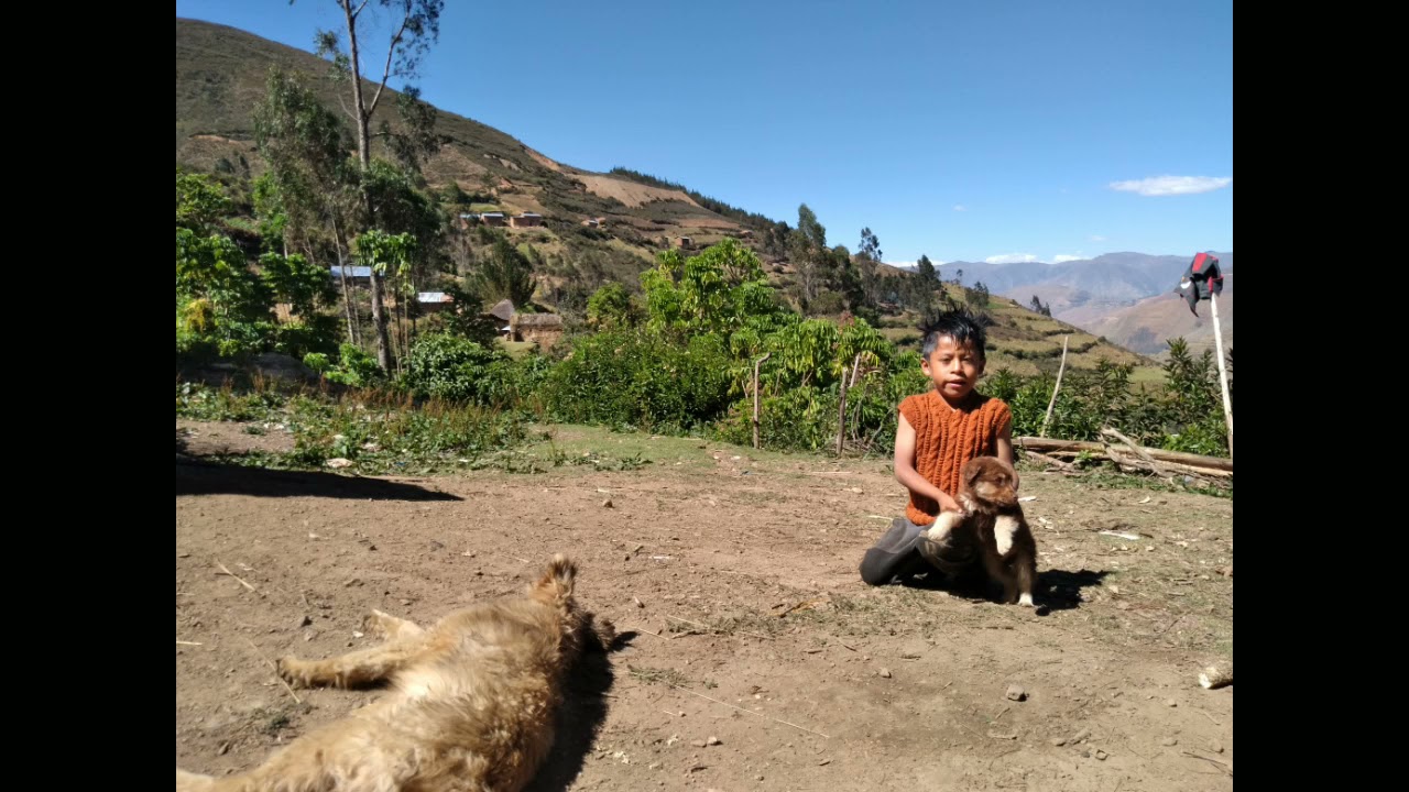 huayno con arpa.eva luna