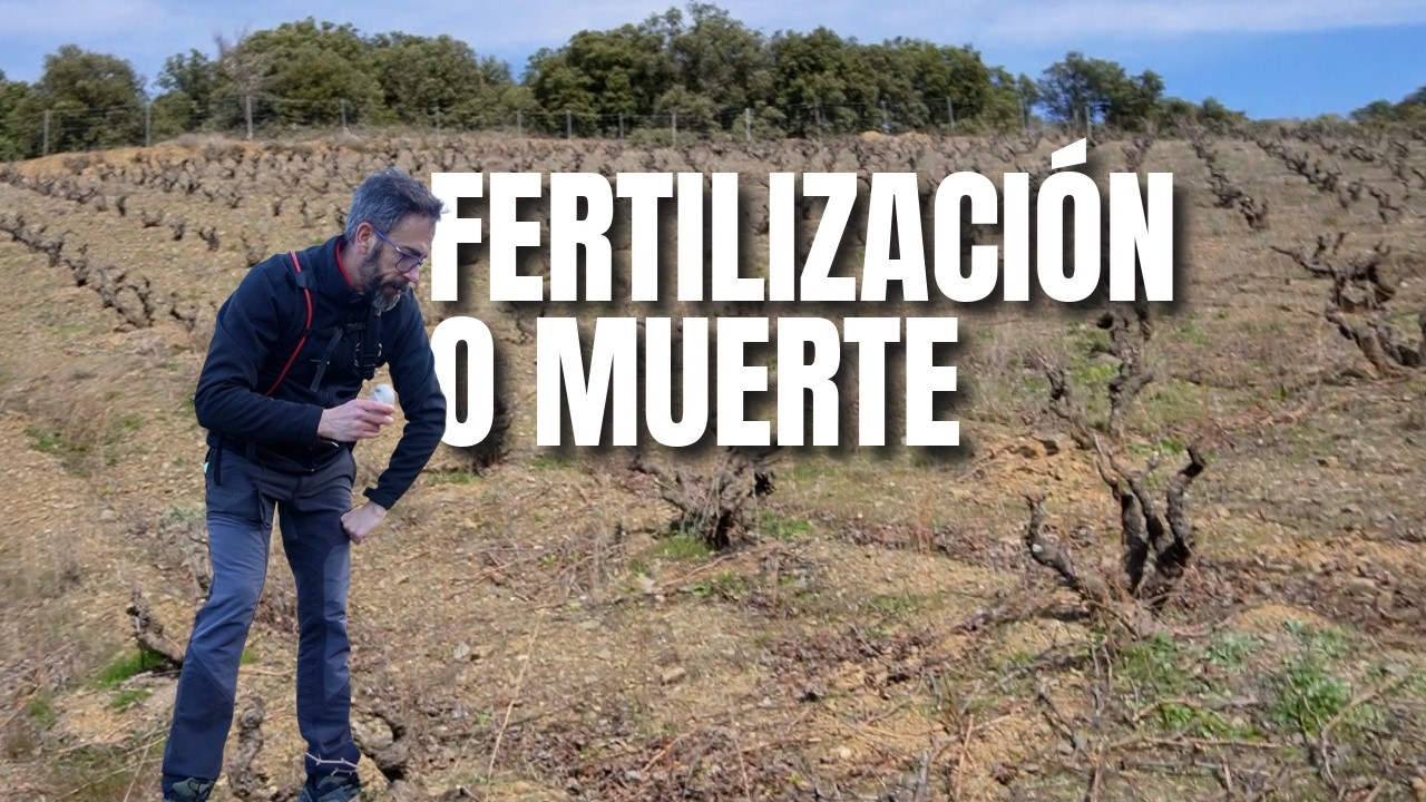 Fertilización o muerte