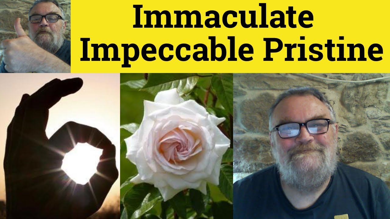 🔵 Immaculate Impeccable Pristine - Immaculate Impeccable Pristine Meaning and Examples