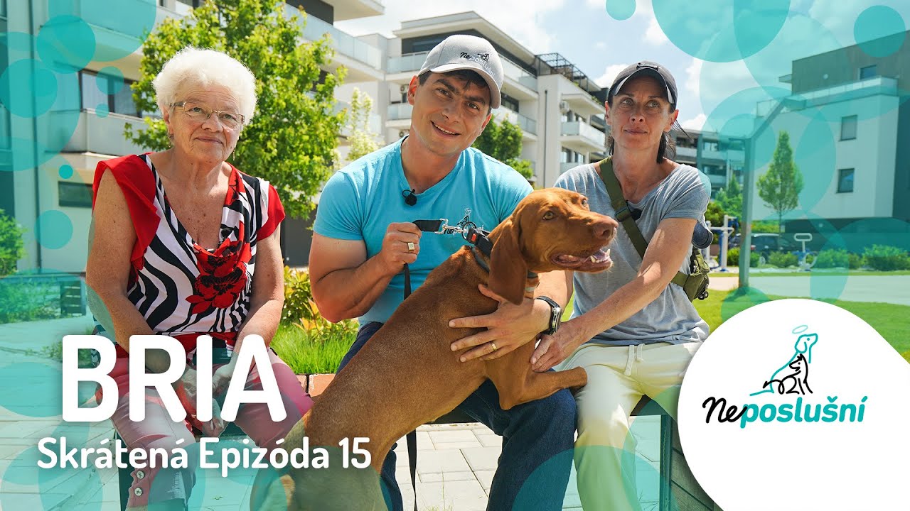 Najrozmaznanejšia Fenka Na Svete! BRIA (SKRÁTENÉ ČASTI) NEPOSLUŠNÍ