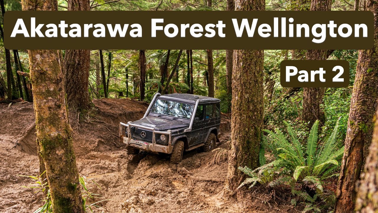 Wellington Akatarawa Forest Part 2