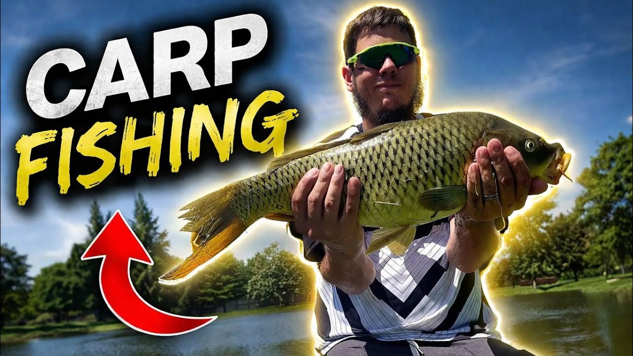 Fishing For Carp | Corn | Summer 2025