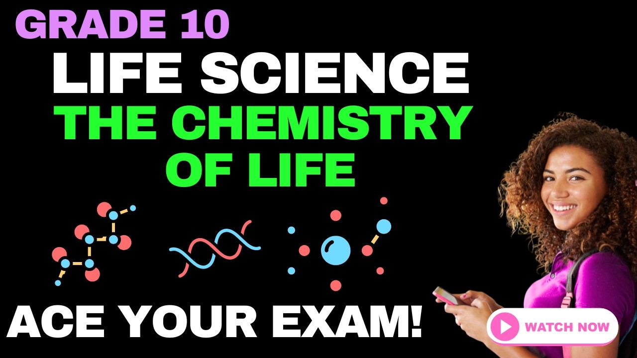 Естествознание, 10 класс | Химия жизни ⚗️ | Молекулы и соединения (CAPS/NSC)