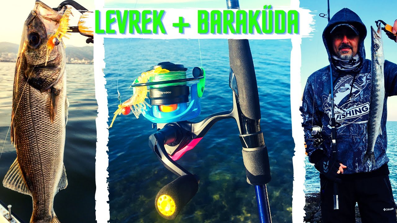 KARİDESLE LEVREK AVI / Baraküda avı / Baraküda ve levrek sahteleri / Osaka karides / AT ÇEK SPİN LRF