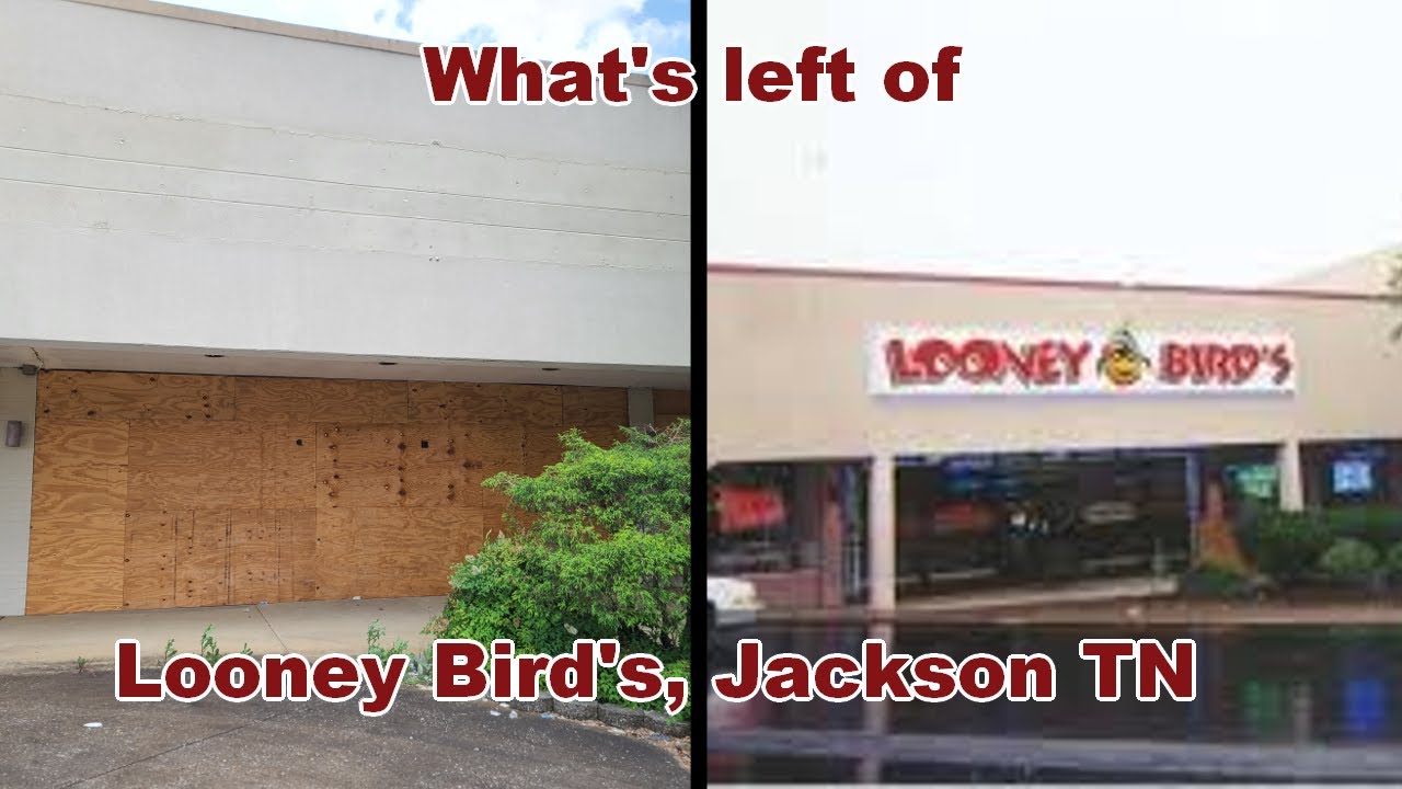 Saving What's Left of Looney Bird's