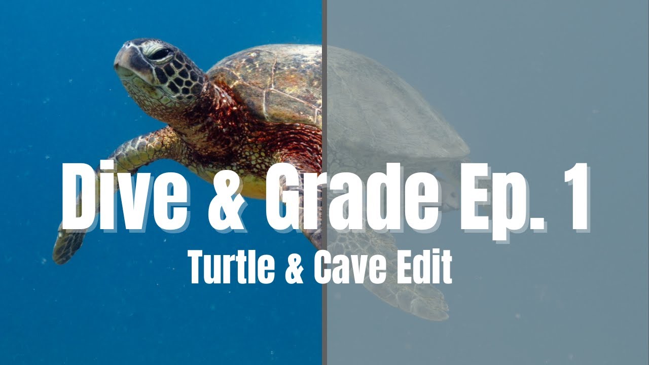 Dive & Grade Ep. 1 - Grading Sea Turtle & Cave Diving Footage | Underwater Editing in Final Cut Pro