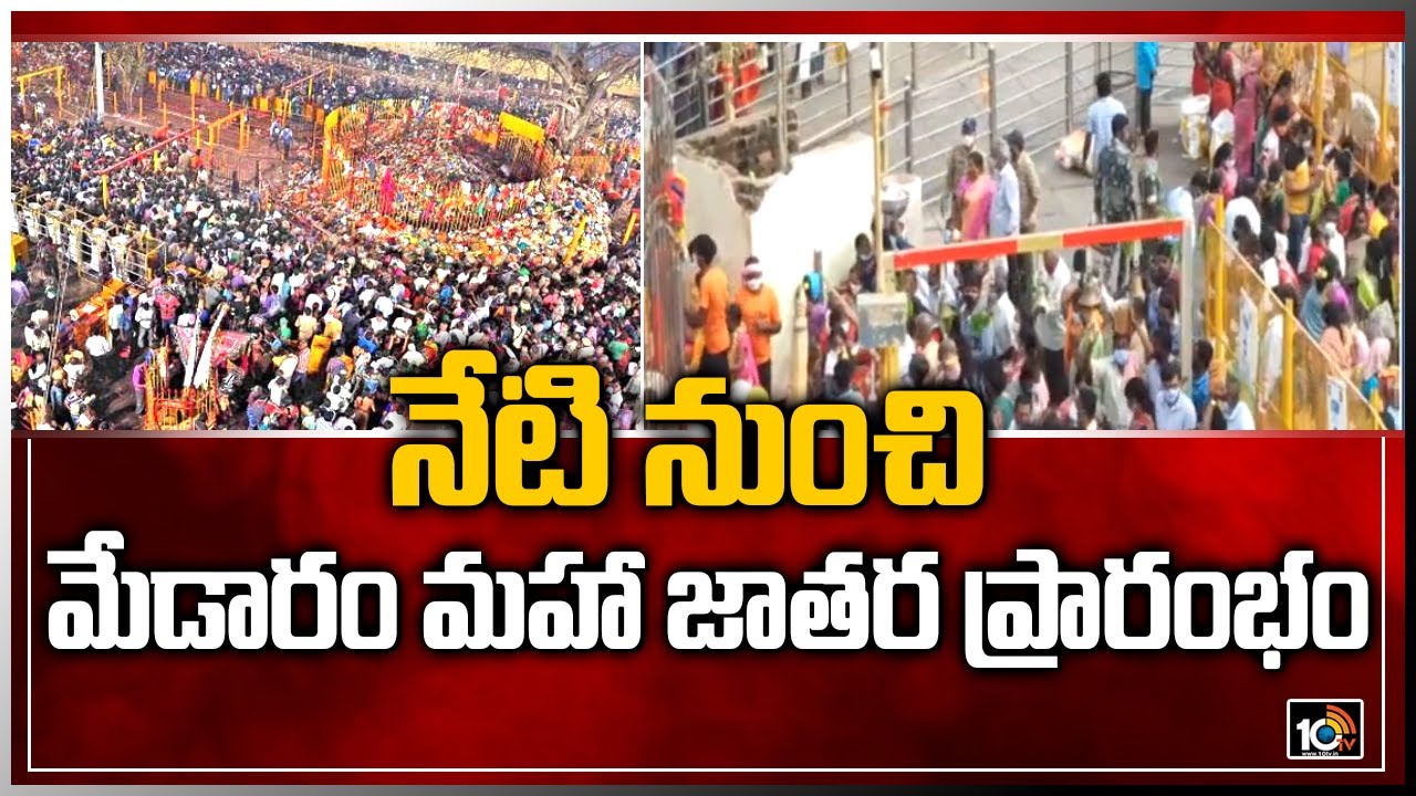 నేటి నుంచి మేడారం మహా జాతర ప్రారంభం | Medaram Sammakka Sarakka Jatara | 10TV