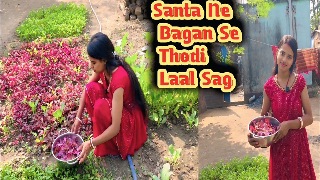 Santa Ne Bagan Se Thodi Laal Sag❤️|| Khaa Kr Maja Hi Aa Gya|| Yummy 😋|| Wife Fun Vlog 