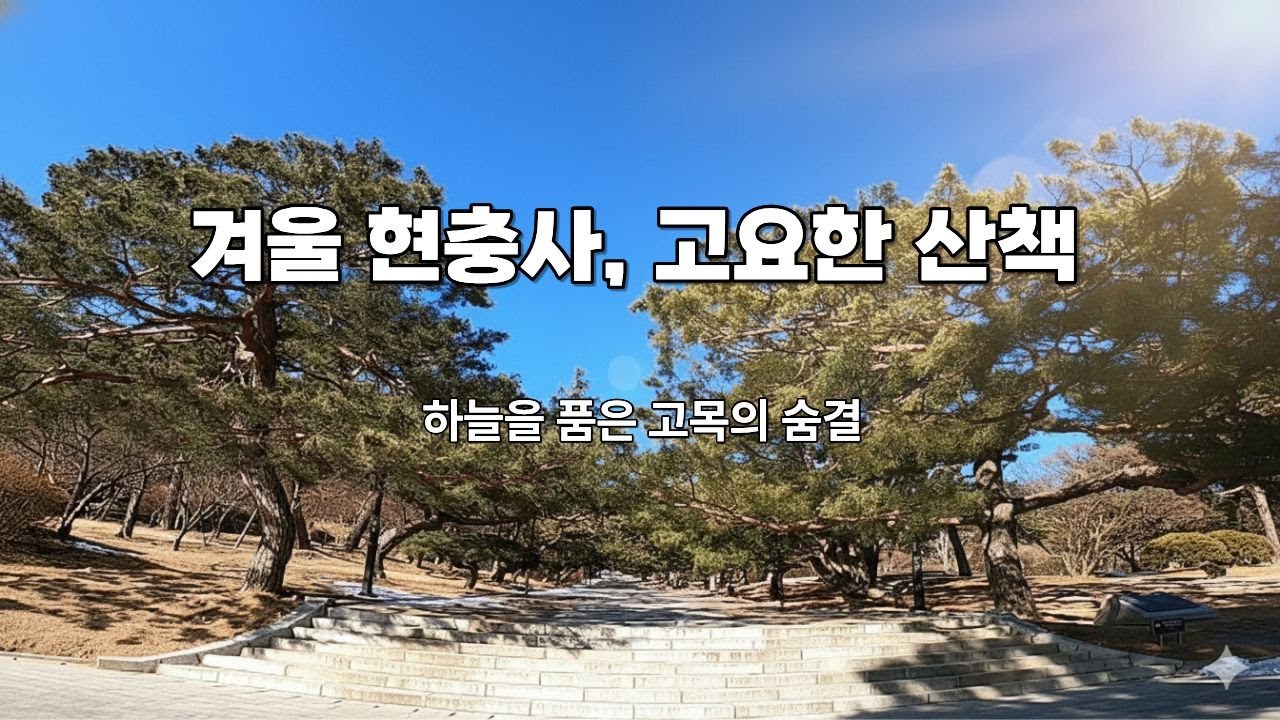 [4K] 겨울 현충사의 고요한 산책 | 400년 고목과 푸른 하늘의 만남  #현충사 #겨울산책 #고목 #이순신#마음정리#명상영상#4K산책 #겨울풍경 #힐링영상 #WalkWithMe