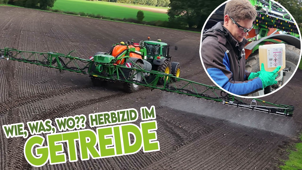 Wie behandeln wir das Wintergetreide? Wie ist es aufgelaufen & was macht der 100-Tage-Mais?